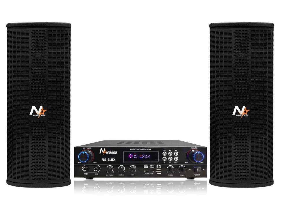NS-6.5X Sound System
